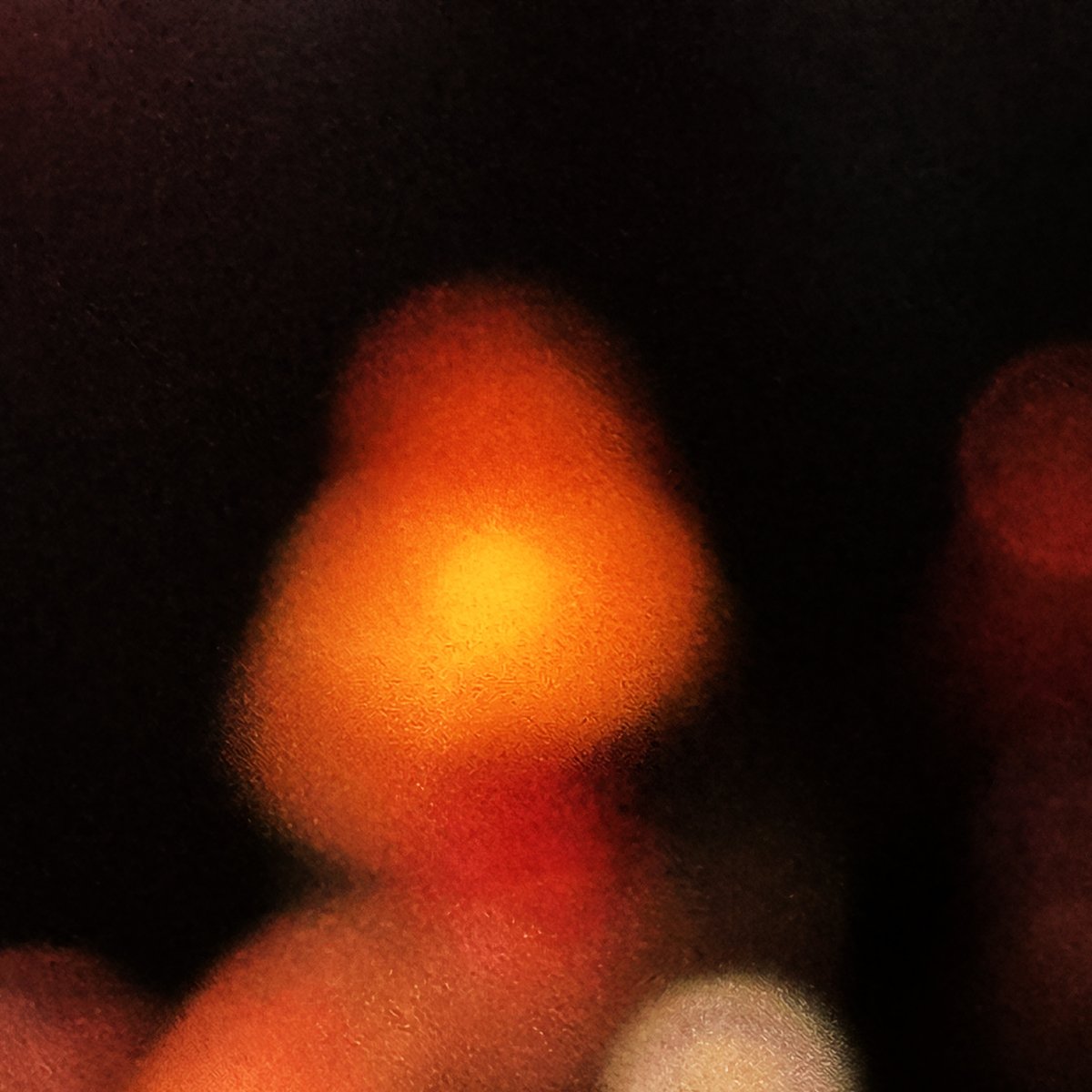 Shadowy Lines tweet media