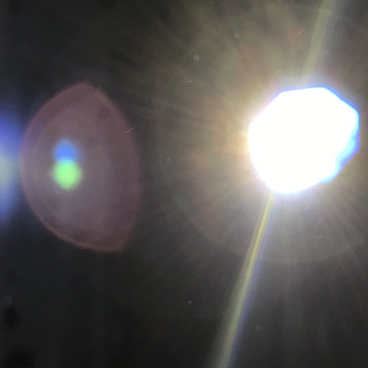 Shadowy Lines tweet media