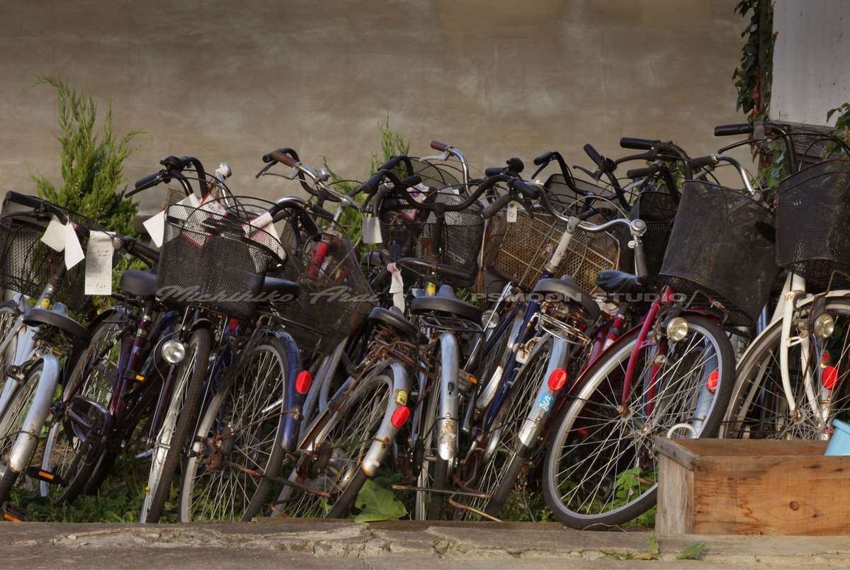 荒井道彦＠写真家兼コラージュ作家 Michihiko Arai tweet media