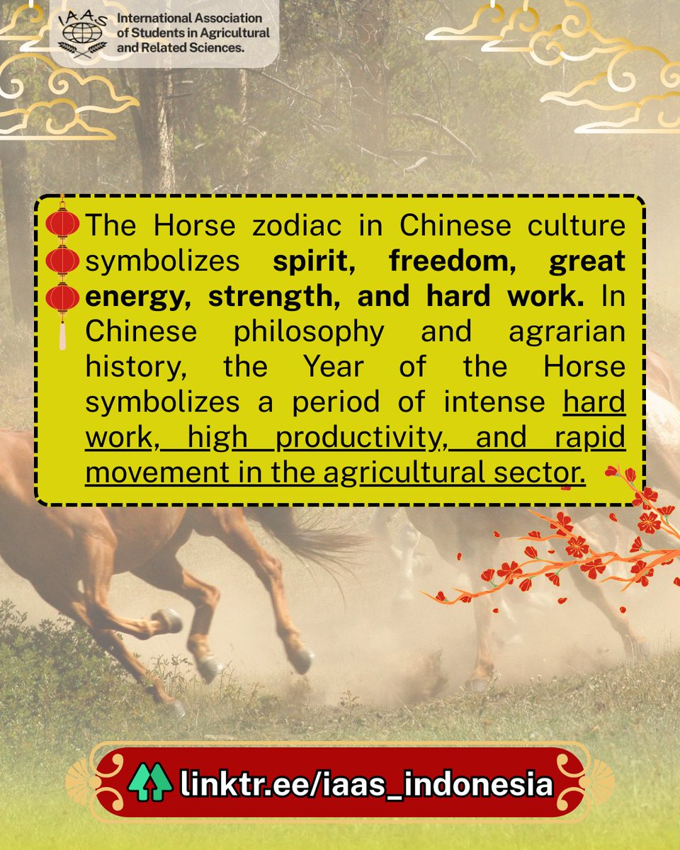 IAAS Indonesia tweet media