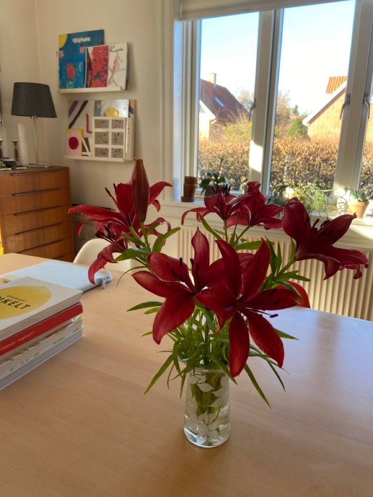 𝓣𝓱𝓮𝓑𝓵𝓸𝓼𝓼𝓸𝓶𝓢𝓽𝓾𝓭𝓲𝓸 (@phollukidukaan) on Twitter photo 