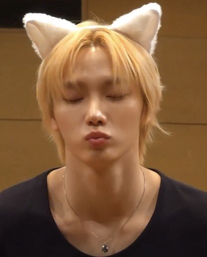 .           ₍^. ｡ .^₎⟆                                         ₍^ > ₃ < ^₎⟆