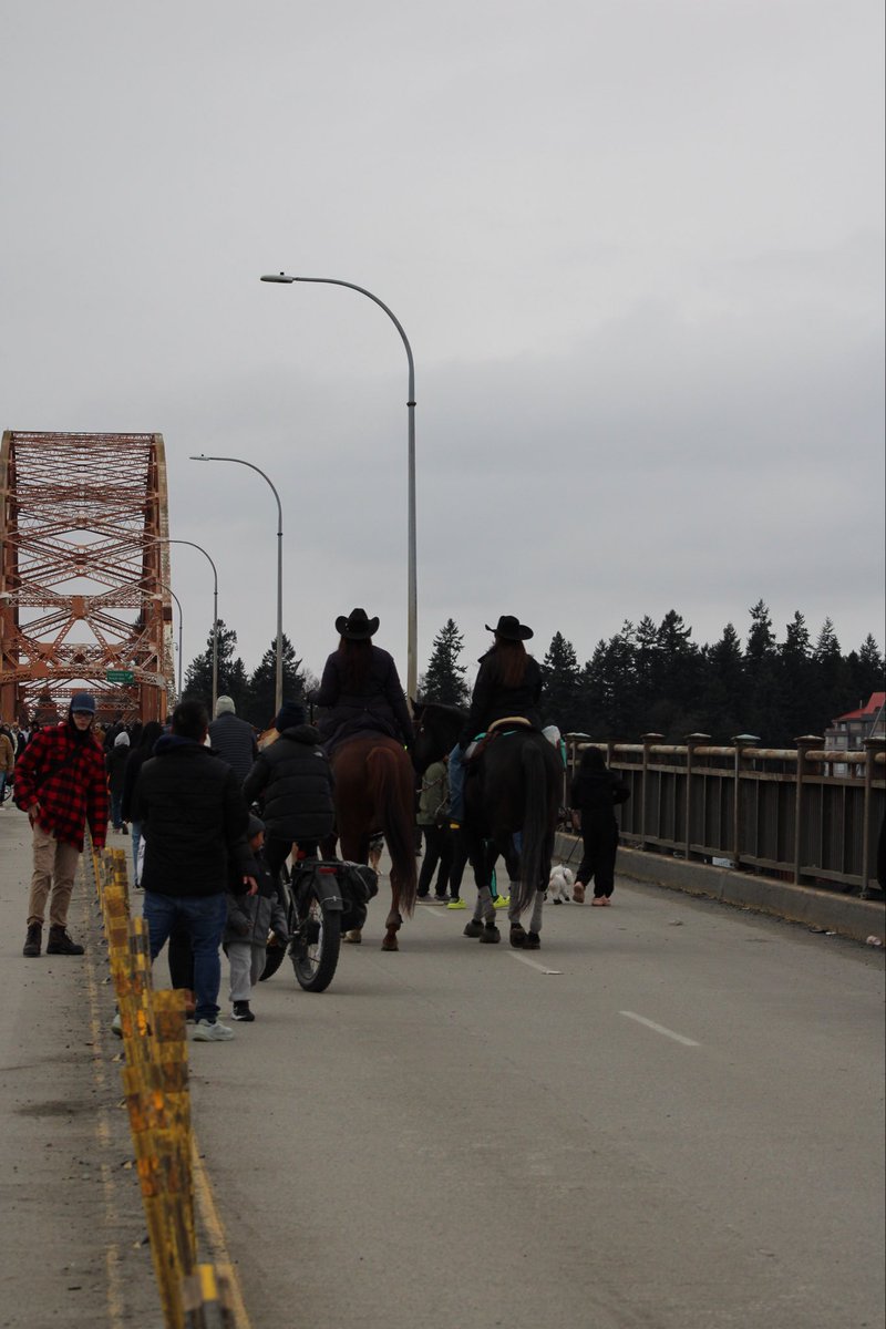 Dtw🇨🇦 tweet media