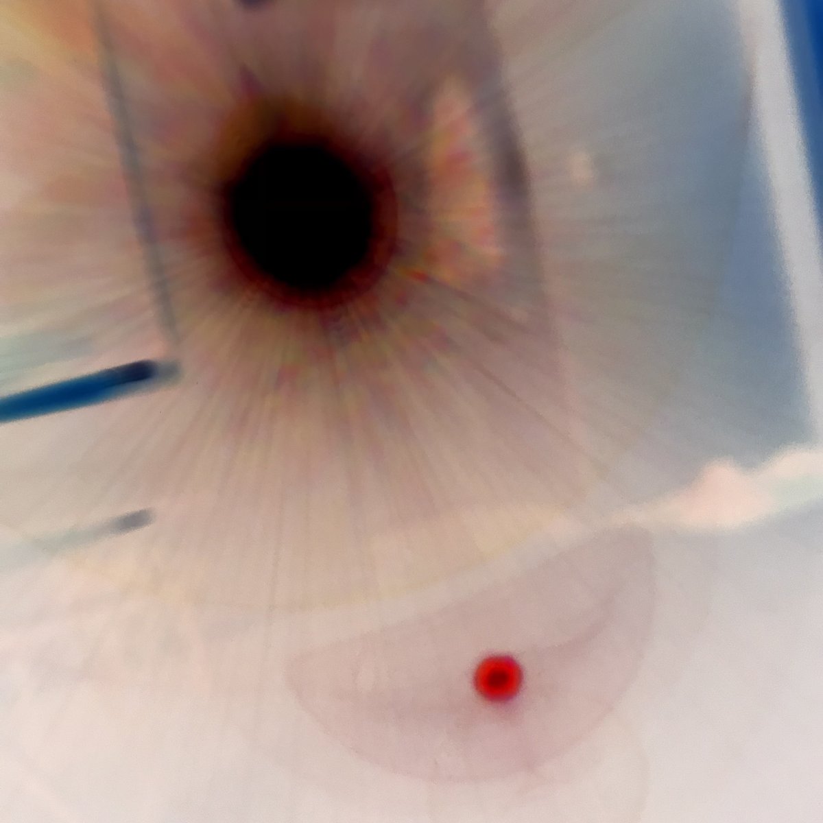 Autohypnosis tweet media