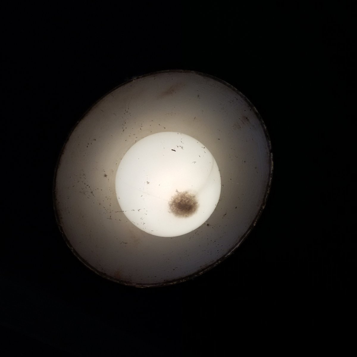 Autohypnosis tweet media