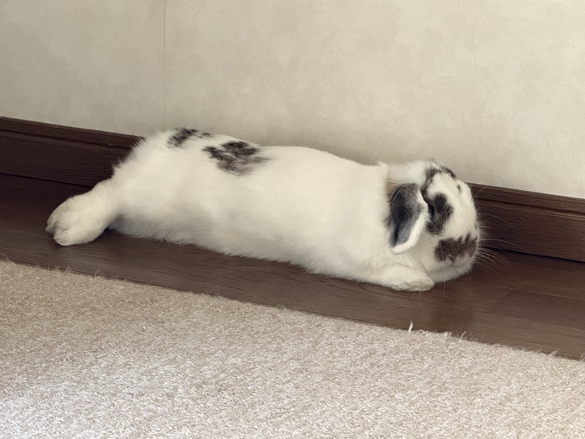 たなキャちゃんねる tweet media