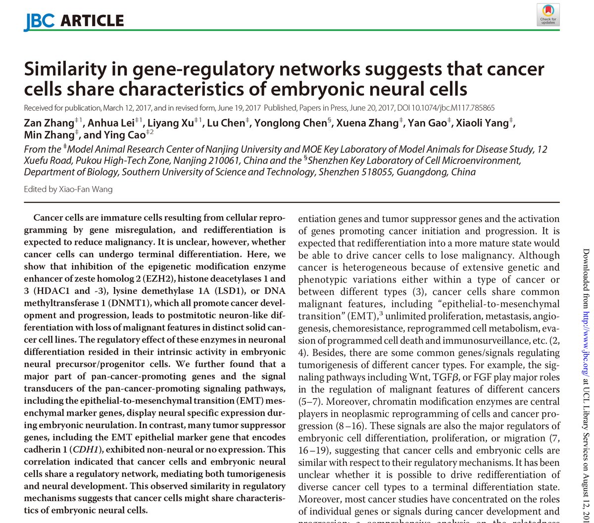 Ying Cao tweet media