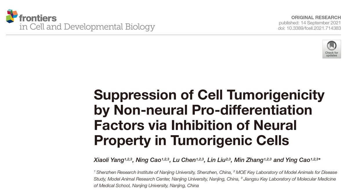 Ying Cao tweet media