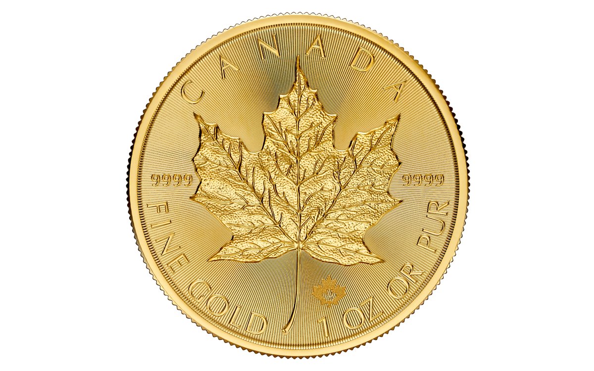 Coal silvermuzzle tweet media