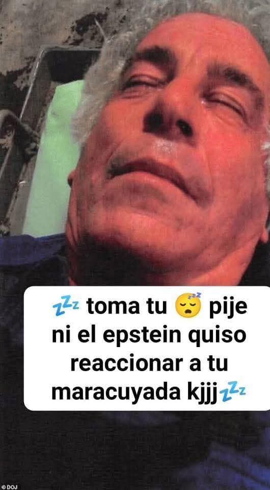 Pelowisa (@pelowisa_) on Twitter photo 