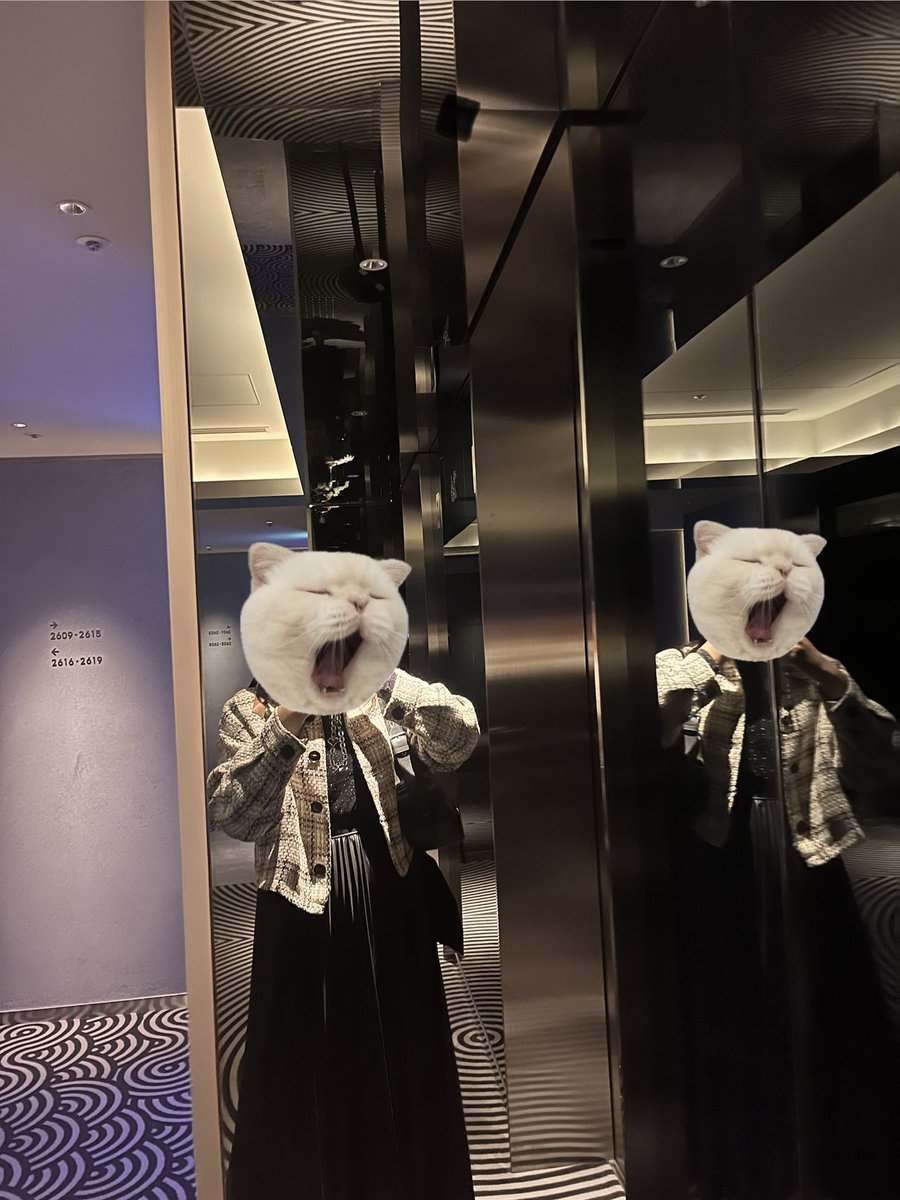 らみ/廻帰福岡/行進大阪当選祈願 tweet media