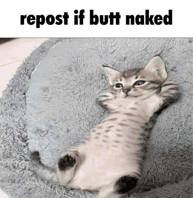 flan 🍮 tweet media