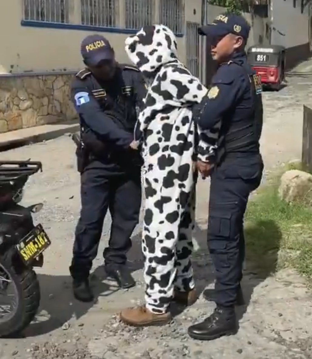 Geo D'Incau tweet media