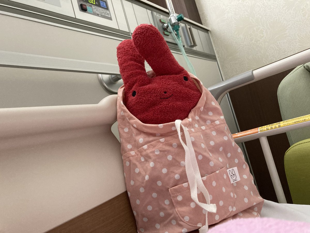 soyonLove2's tweet photo. 生きてます！

友達欲しい！
（今いる友達には感謝しかない！！）

子供できました（2人めではない）
1700g！対あり！

 #フモフモさん https://t.co/1qSNxiezDf