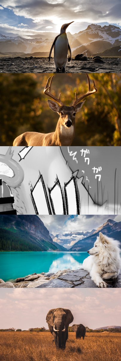 zztunbj's tweet image. (1/8)SFW