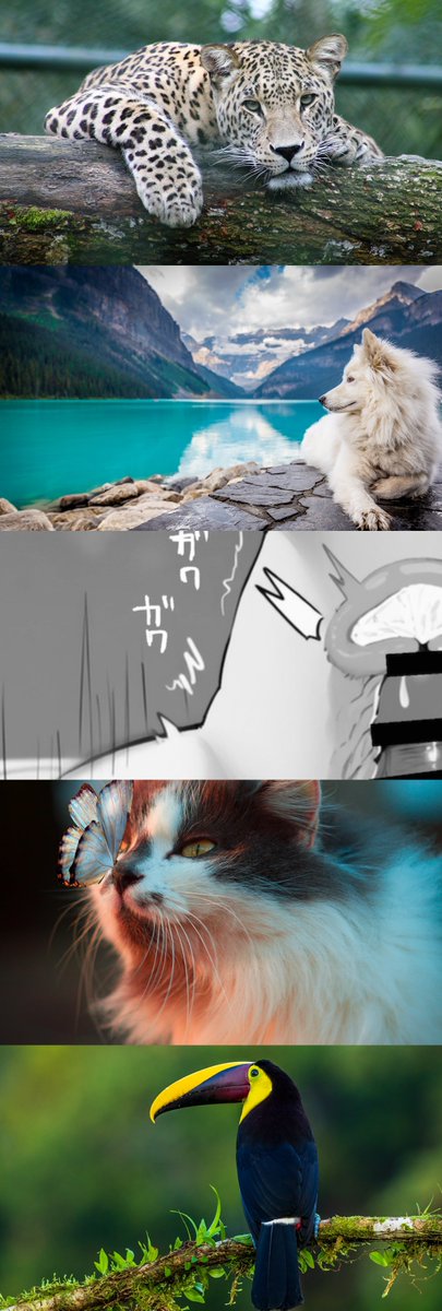 zztunbj's tweet image. (1/8)SFW