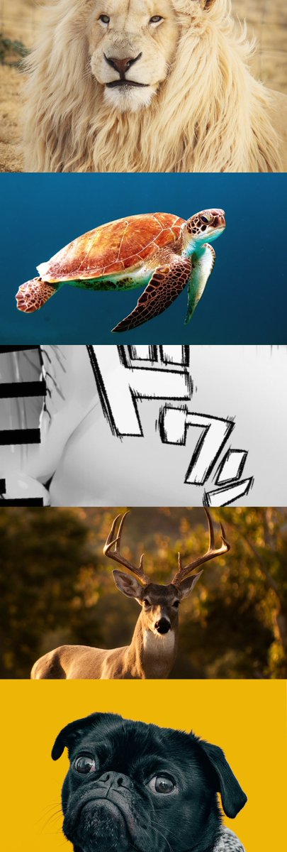 zztunbj's tweet image. (1/8)SFW