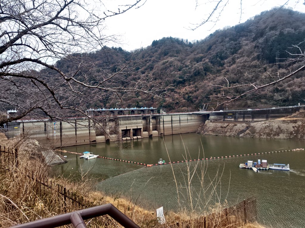 hyde_5005's tweet photo. 2月17日(火)曇り　気温5.5℃、湿度49%
お疲れさまです。
朝は雪がチラチラ降っていました。
気がつけば梅が開花もうすぐ春ですね。相変わらずダムは水不足のようです。お昼に白だし醤油そばを頂きました😋午後も頑張りましょう!!

感謝を忘れずいつも笑顔で健やかに☺️
#イマソラ #白梅 #中華そば安至 https://t.co/7cOw1o6SO1