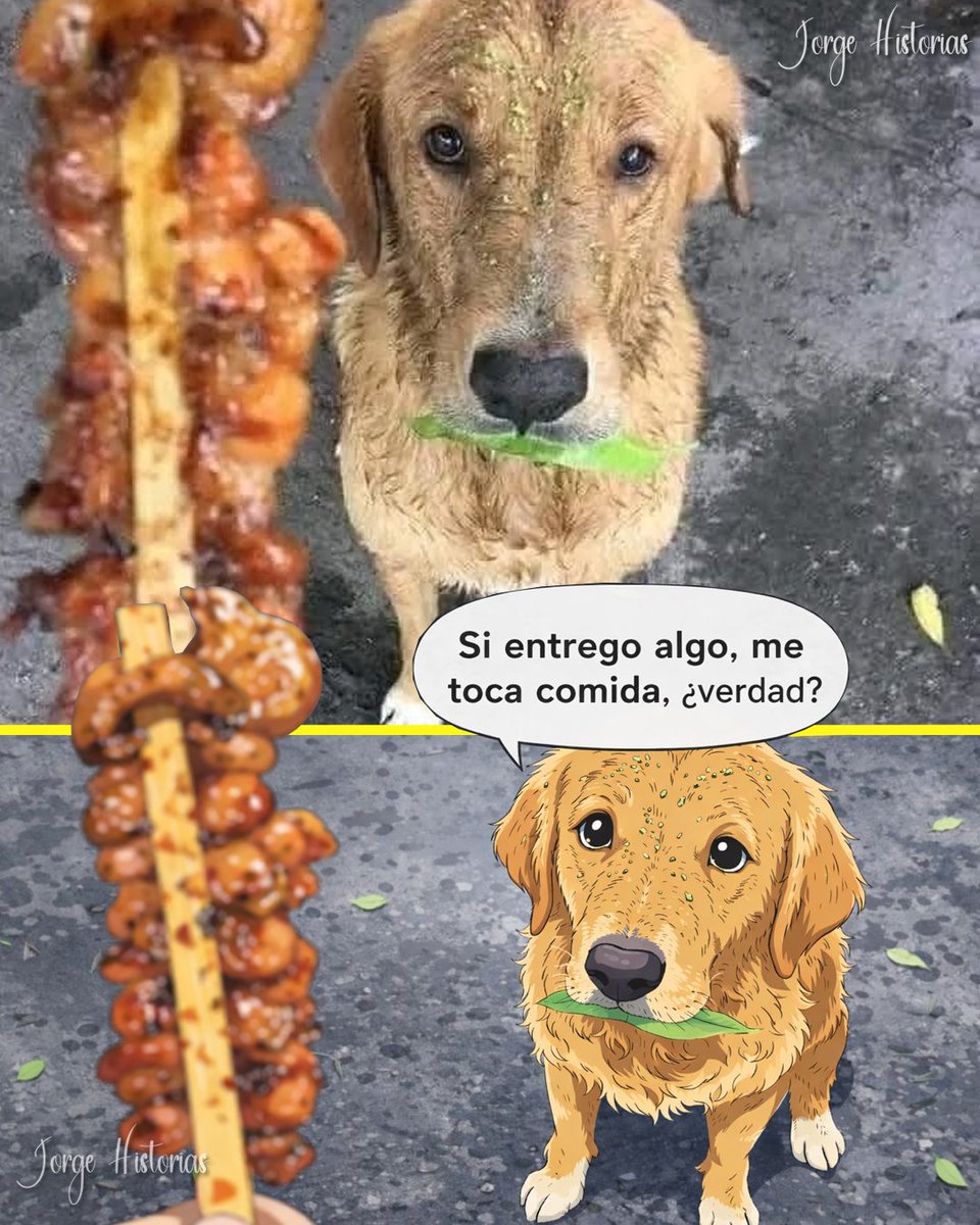 Perrito intentó pagar comida con una hoja después de ver a los humanos comprar.

Un vendedor ambulante estaba sentado en una acera vendiendo comida cuando un perrito llegó y se quedó ahí observándolo durante un buen rato.

El perro veía cómo los clientes se acercaban, le daban