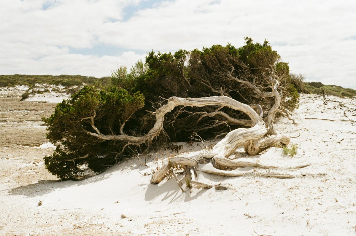 DUFF IS TUFF 🔥‼️ tweet media