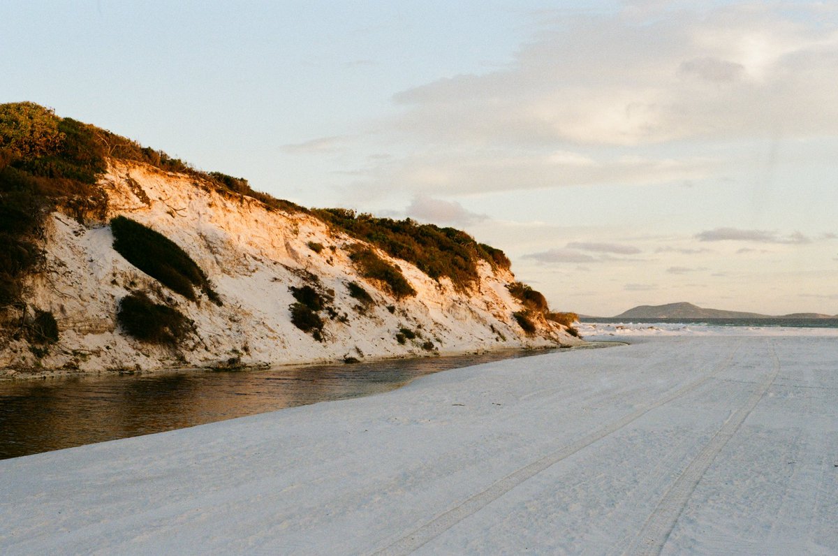 DUFF IS TUFF 🔥‼️ tweet media