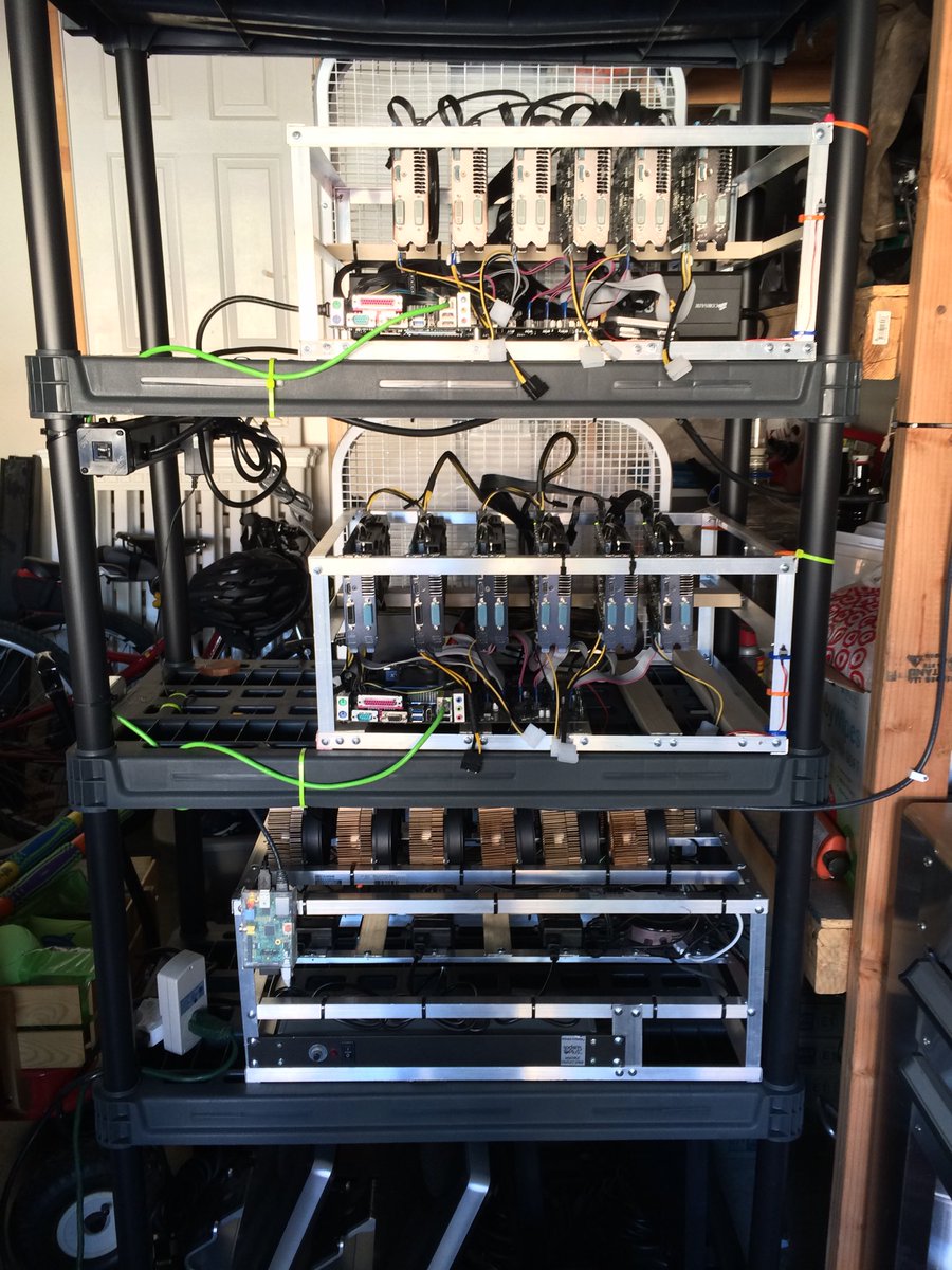 SandyF337 tweet media