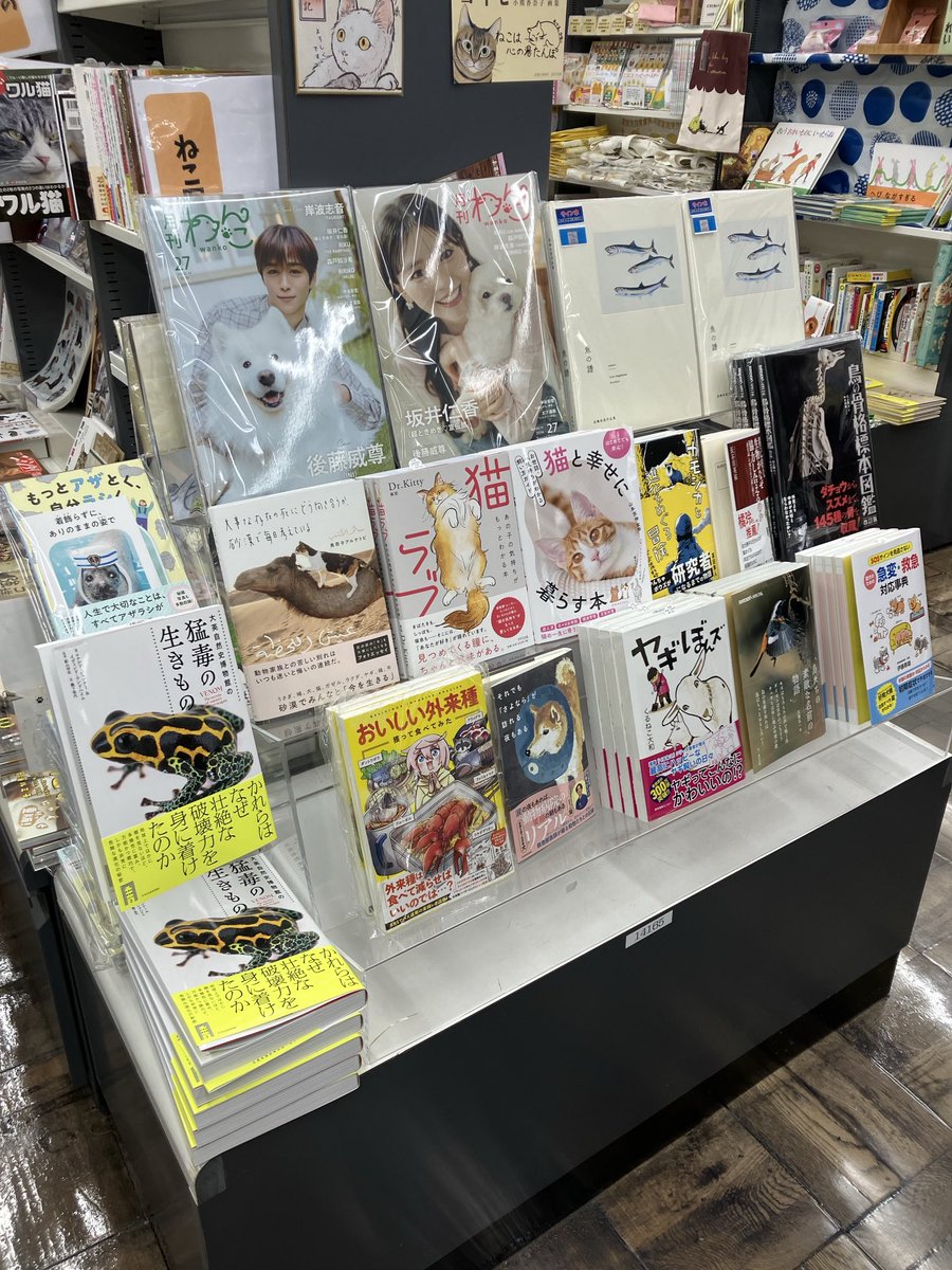 ［4階］本日の #グランデいきもの 新刊台のもようです。
深夜の獣医さんの本と砂漠の国に住む人と動物たちの本が入りました。