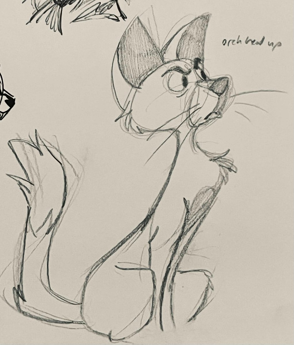 🦊 Gwyndolyn! 🐰 tweet media