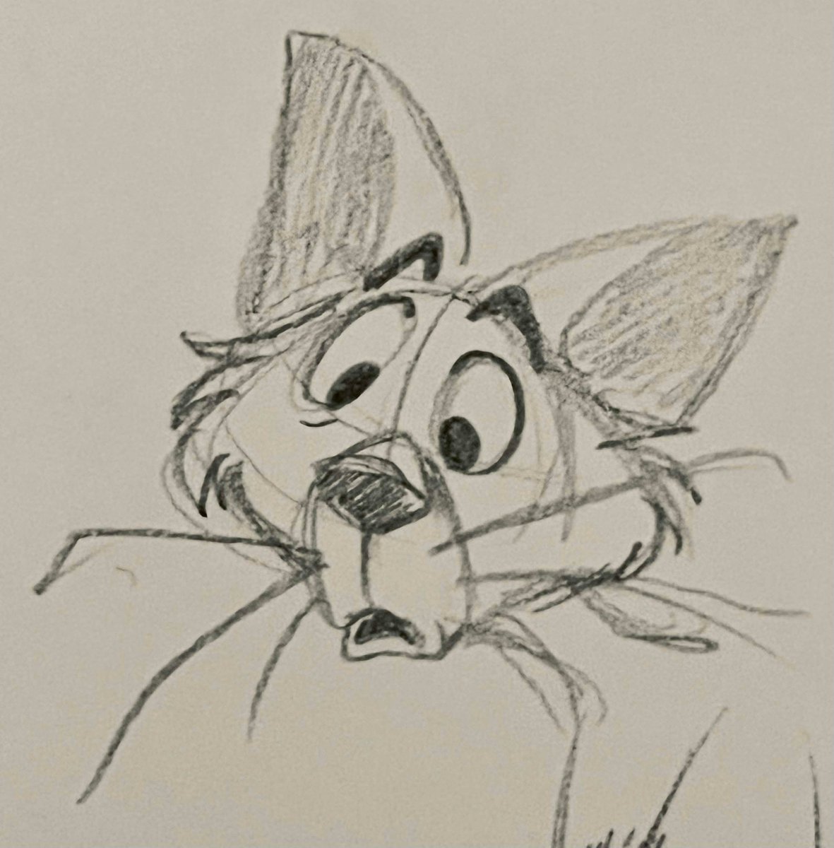 🦊 Gwyndolyn! 🐰 tweet media