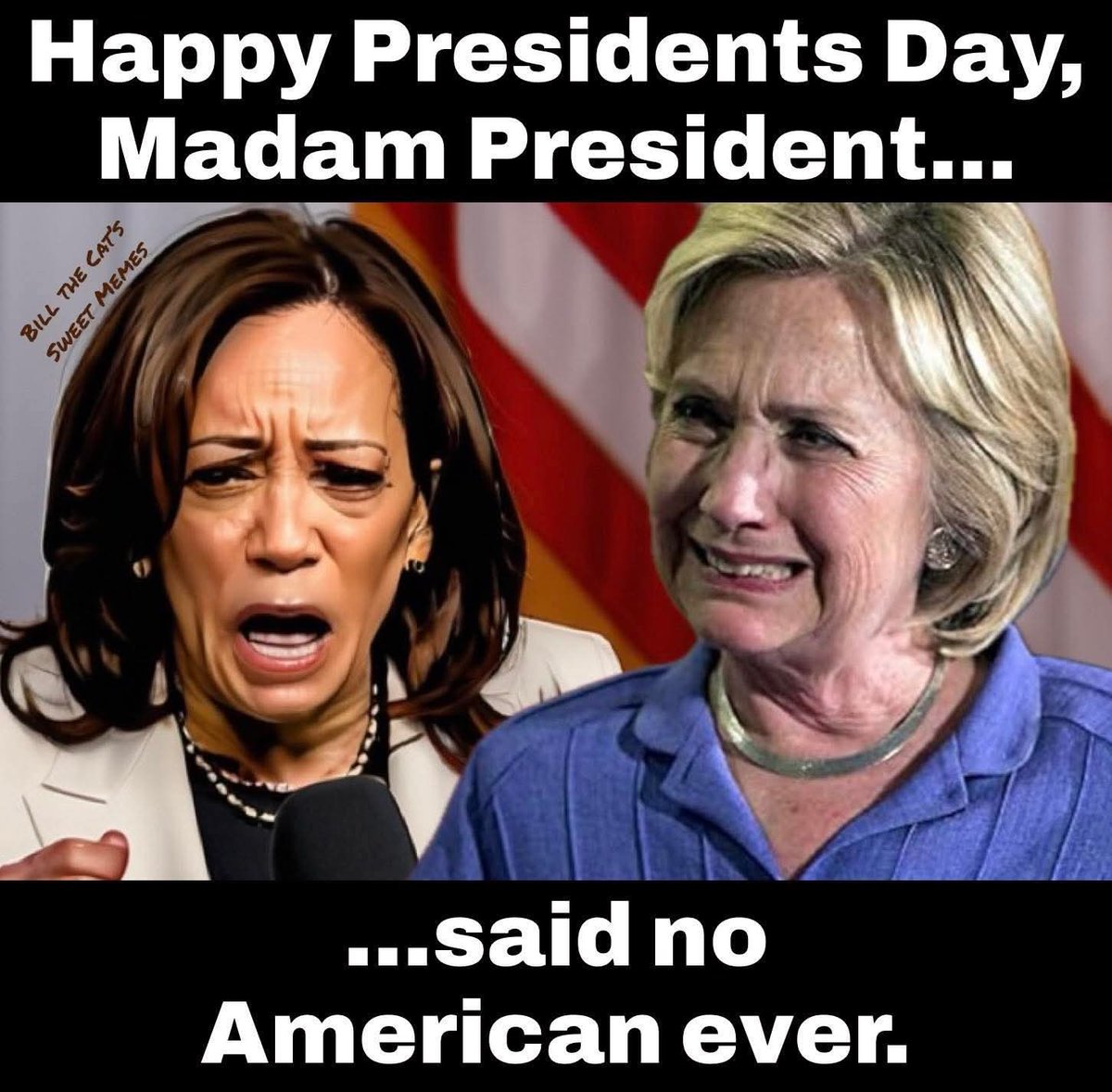 Hillary Clinton will never be president. 🙊