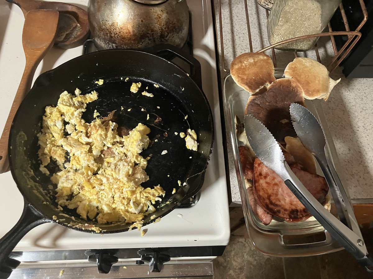 GrumpyHogg🦐 tweet media