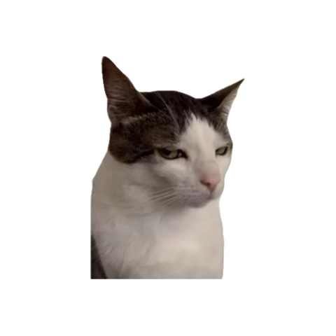 gelsGT's tweet photo. Stopped reaching out to people who made me feel like im in a one sided friendship, and havent heard from these mfs since 2025 https://t.co/Tnw20iT1pc