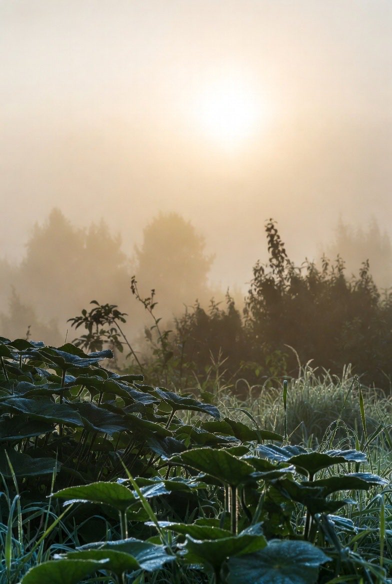 cibi_builder's tweet image. Good Morning ☀️ 

早上好☀️