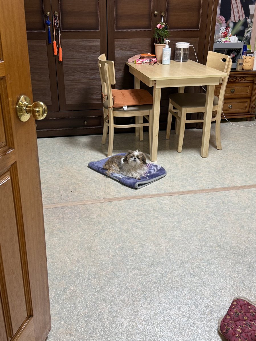 벌써 가는겨?
그려 새해 복 많이받고
멀리는 못나간다..