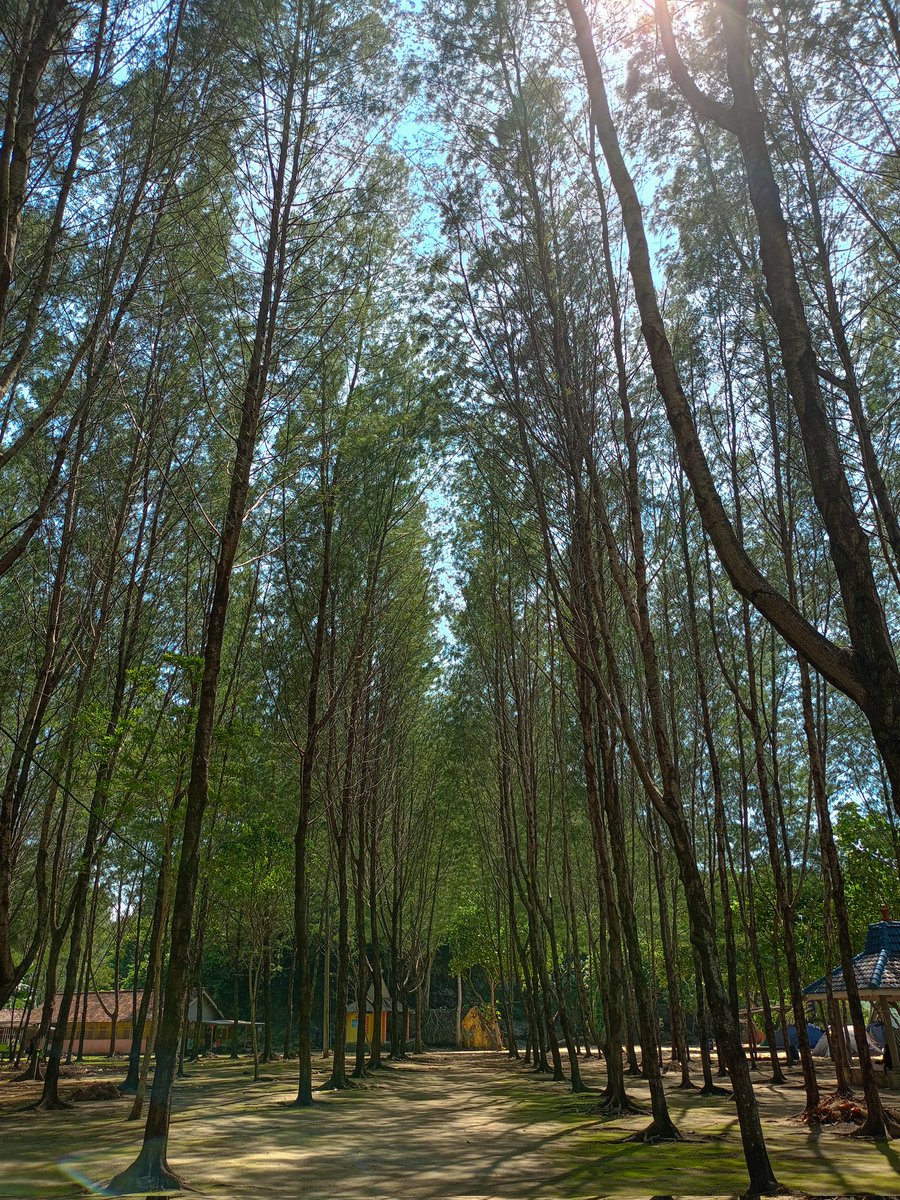ihugcatss's tweet photo. ketika foto ngasal tapi lo di jatim
#jawapride https://t.co/D2Qe8NIxqI