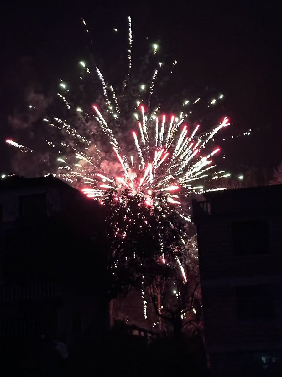 嗯哼的小浪狗- tweet media