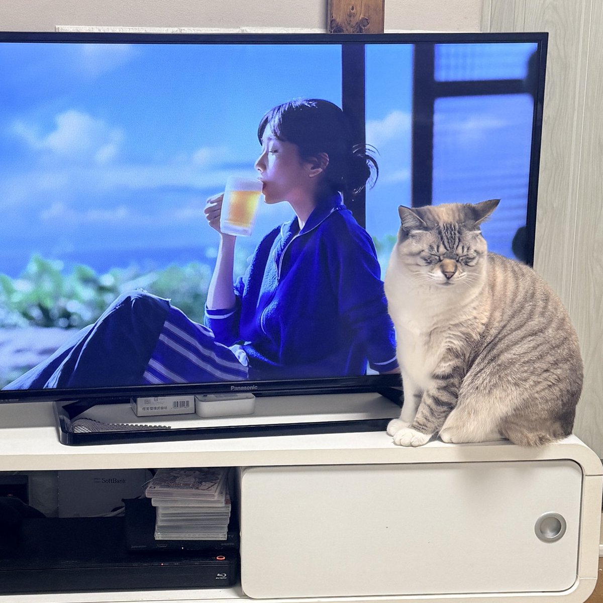 さすがにこれは猫の負け。