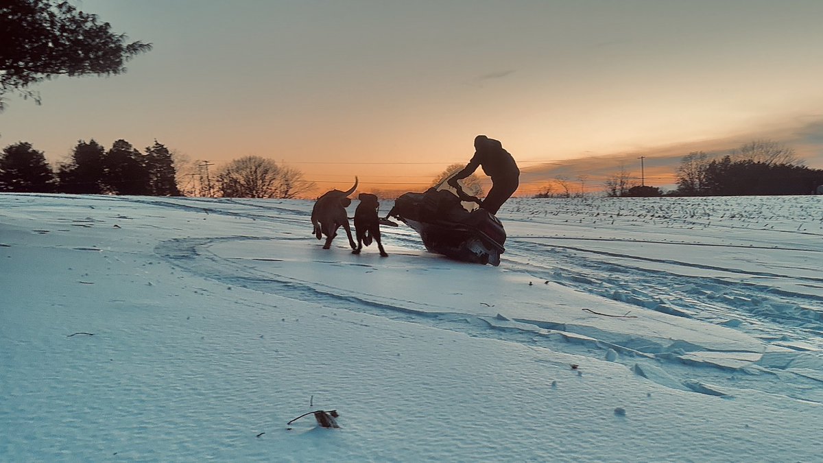 MikeyPatrick5's tweet photo. @DavidJHarrisJr Randy Fine’s right—dogs over the alternative, hands down. I’d pick my dogs over any human, except my blood family, ‘cause they’re family too: loyal, loving, zero BS. Pics don’t lie, meet our crew 🐶❤️ #DogsFirst #MAGA https://t.co/RzMRvjRFCX
