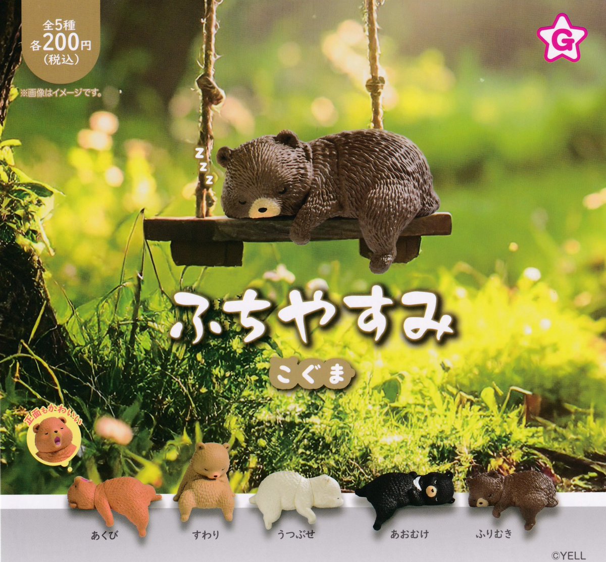 🙇‍♀️2月17日(火)完売のお知らせ🙇‍♀️ ▫️ふちやすみ こぐま