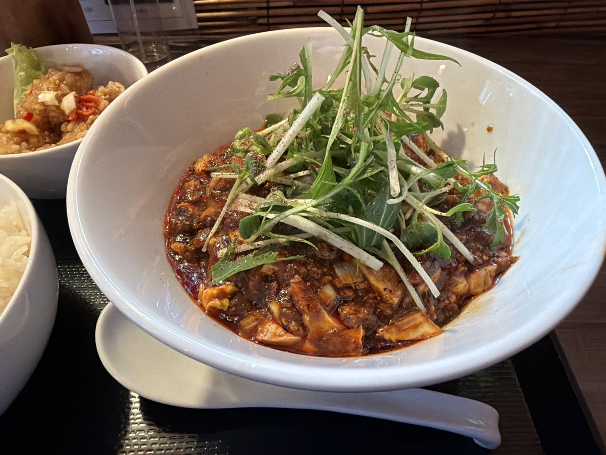 タオパイパイ (@Evolution9Gt2) / Posts / X