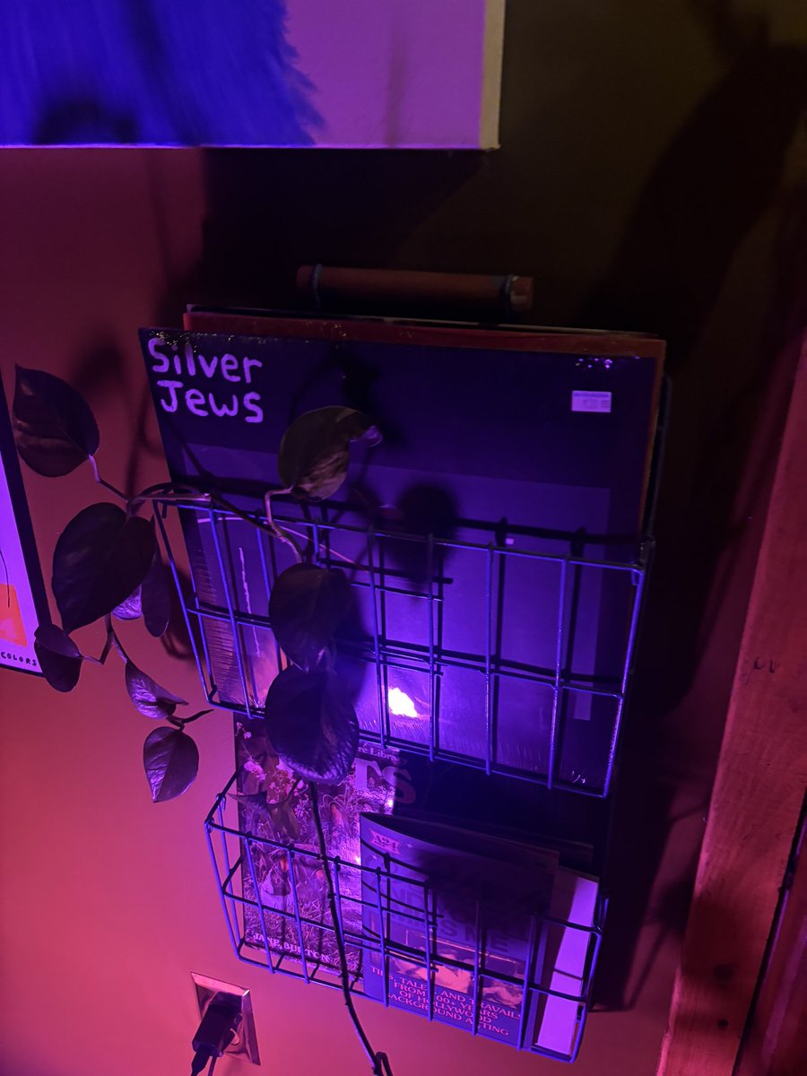 my friend saw this at my house and told me i was one interesting chica