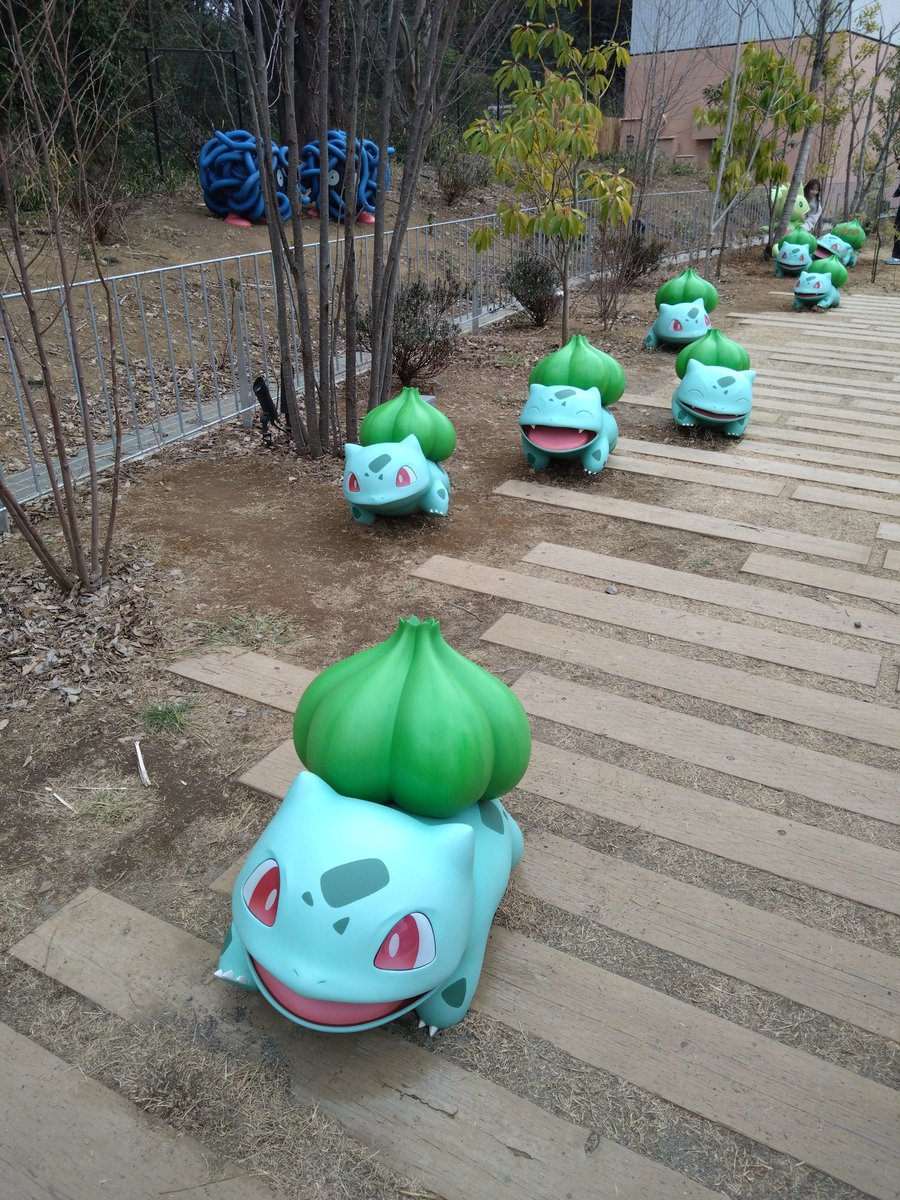 我が相棒フシギダネがいっぱい！！…次はここでお昼にしよう