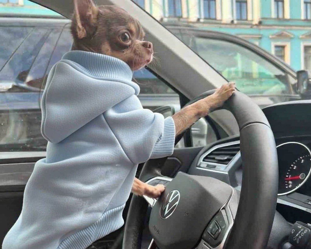 팀을 이끌어 신인왕으로 질주하는 강성욱의 모습이다