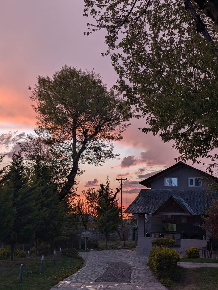 Prashant Abhishek tweet media