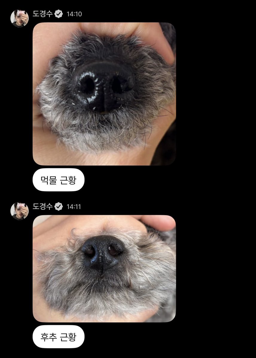 벼 tweet media