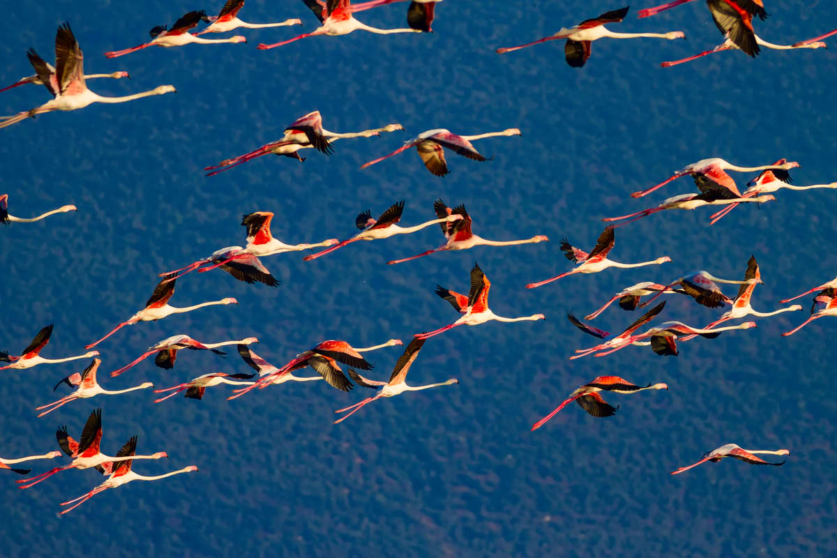 Adam Gebb tweet media