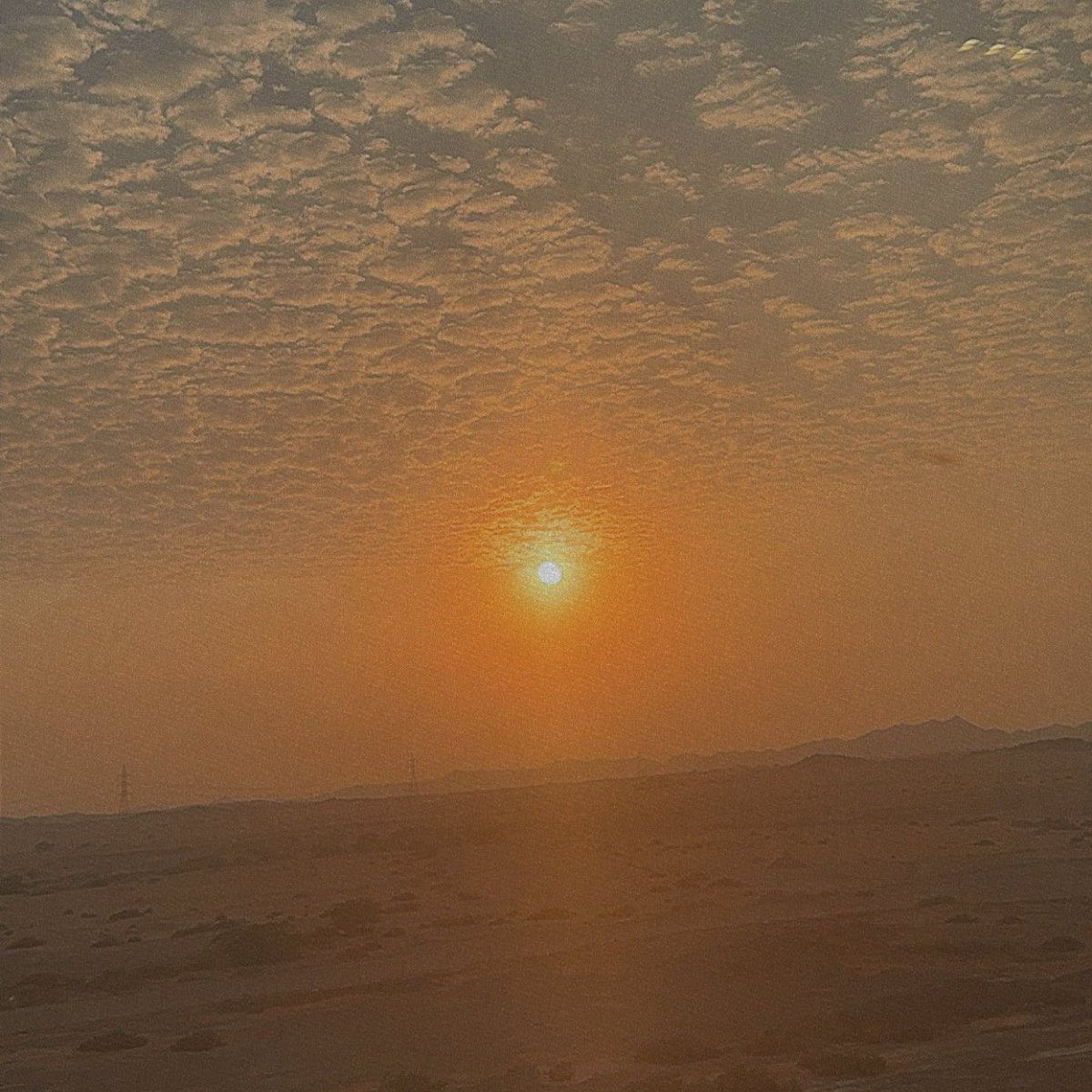 Stretch, breathe, and remember: power looks best when worn effortlessly 💚