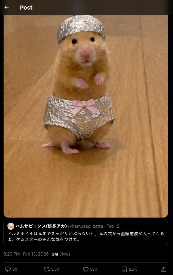 AshNoirX's tweet photo. Okay, I think i've just found the next VIRAL animal which never ran properly. 
Mugi-Chan is a 7 month chinchilla hamster    
She is going VIRAL with over 2M views in just 24 hours 
Volume is drying up, memes are getting slower and slower I believe the way to fix them is to find a animal we can all get behind     
Mugi-Chan is also standing like Michi, one of the biggest ever cat memes making her SUPER memeable
I've created a couple of pictures to use already :)

https://t.co/pz5Sd2sGjW