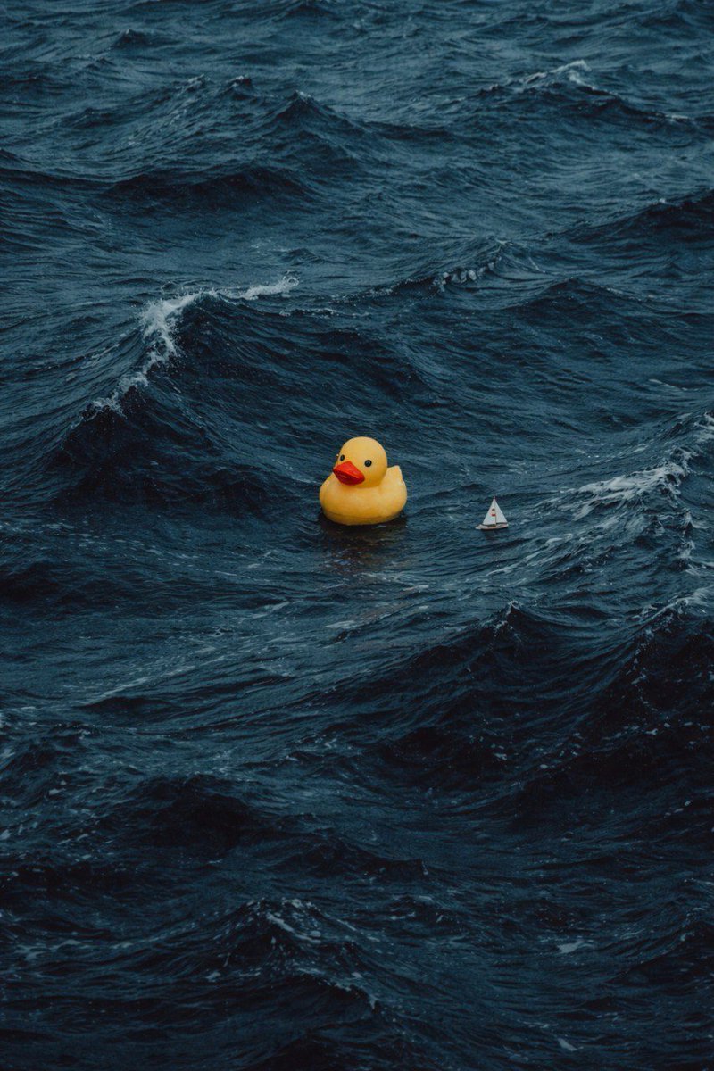 Justaduck_x's tweet photo. The duck just follows the waves. https://t.co/OqVIVsnv0A