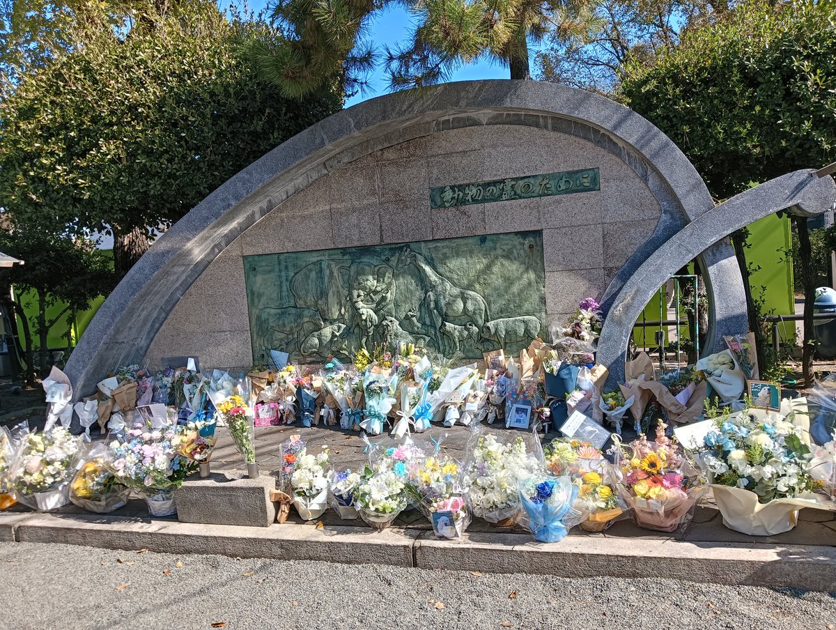 もう並べて頂けてました。ありがとうございます。ホウちゃん🐻‍❄️に会うために来たのにな…。まさかゴーゴへの献花をすることになるなんて思いもしなかった。ゴーゴには徳島で会うはずだったんだけどな…なんでかな…